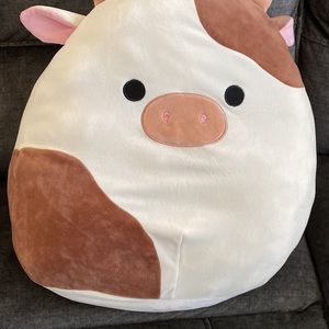 Ronnie for Elaina Soult